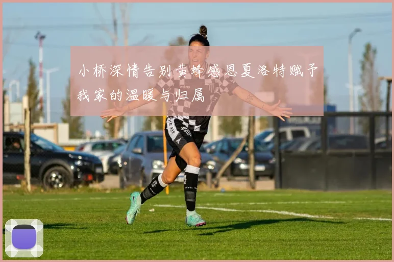 小桥深情告别黄蜂感恩夏洛特赋予我家的温暖与归属