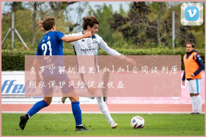 克罗宁解析诺里1加1加1合同谈判原则以保护风险促进收益